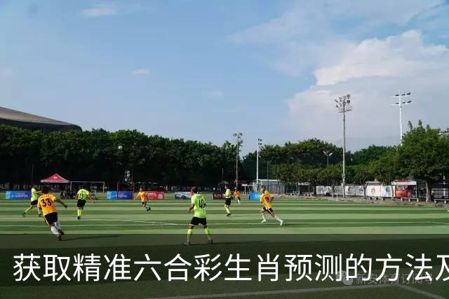 获取精准六合彩生肖预测的方法及282期最新号码分析